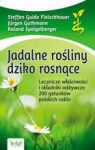 JADALNE ROŚLINY DZIKO ROSNĄCE LECZNICZE WŁAŚCIWOŚCI I SKŁADNIKI ODŻYWCZE 200 GATUNKÓW POLSKICH ROŚLI
