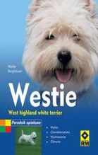 WESTIE WEST HIGHLAND WHITE TERRIER
