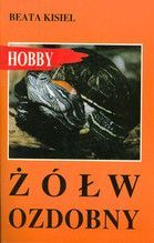 ŻÓŁW OZDOBNY