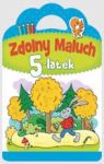 ZDOLNY MALUCH 5-LATEK
