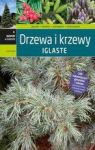 DRZEWA I KRZEWY IGLASTE  TW