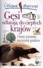 CIEKAWE DLACZEGO GĘSI ODLATUJĄ DO CIEPŁYCH KRAJÓW