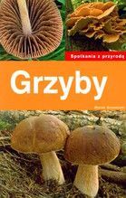 GRZYBY