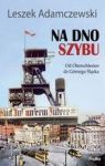 NA DNO SZYBU