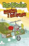 BAD PIGGIES KSIĄŻKA Z NALEPKAMI