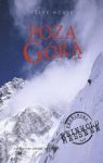 POZA GÓRĄ