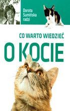 CO WARTO WIEDZIEĆ O KOCIE TW