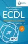 ECDL WSPÓŁPRACA ONLINE MODUŁ S7 SYLLABUS V. 1.0