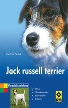 JACK RUSSELL TERRIER