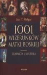 1001 WIZERUNKÓW MATKI BOSKIEJ TRADYCJA I KULTURA TW