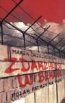 ZDARZYŁO SIĘ W BERLINIE POLAK PATRZY NA MUR