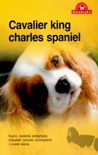 PIES NA MEDAL CAVALIER KING CHARLES SPANIEL