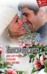 ZIMOWE OPOWIEŚCI WYD.KIESZONKOWE