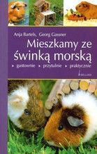 MIESZKAMY ZE ŚWINKĄ MORSKĄ