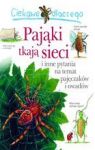 CIEKAWE DLACZEGO PAJĄKI TAKJĄ SIECI